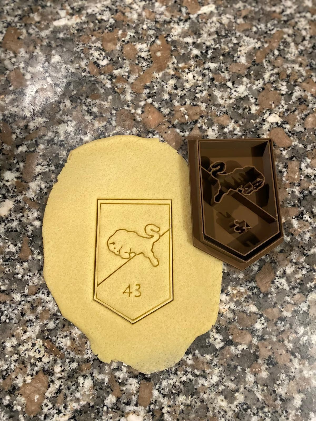 43 Gemechaniseerde Brigade